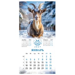 Календарь настенный перекидной 2027 г., BRAUBERG, 12 листов, 28,5х57 см, "Символ года", 118414 - фото 6