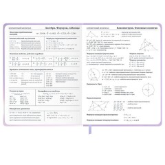 Дневник 1-11 класс 48 л., обложка кожзам (твердая с поролон), 3D-элемент, BRAUBERG, "Суровый кот", 107221 - фото 14