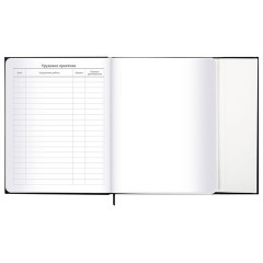 Дневник 1-11 класс 48 л., твердый, BRAUBERG, матовая ламинация, магнитный клапан, закладка-ляссе, с подсказом, "Дракон", 107245 - фото 20