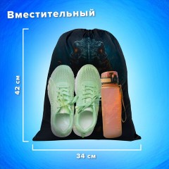 Мешок для обуви BRAUBERG KIDS, с петлей, 42х34 см, "Dino chase", 272416 Мешок для обуви BRAUBERG KIDS, с петлей, 42х34 см, "Dino chase", 272416 - фото 11