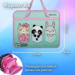 Папка на молнии с ручками BRAUBERG А4, 1 отделение, пластик, 80 мм, "Приятели", 271467 - фото 9