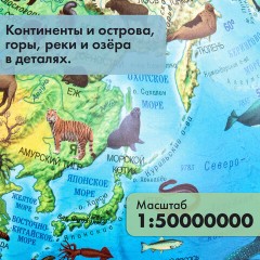 Глобус зоогеографический GLOBEN "Классик Евро", 25 см, с подсветкой, детский, Ке012500270 - фото 17