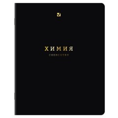 Тетради предметные, КОМПЛЕКТ 12 ПРЕДМЕТОВ, 48 л., Soft-Touch, 3D-фольга, BRAUBERG, "BLACK GOLD", 405602 - фото 11