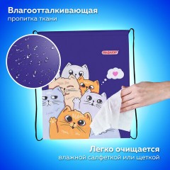 Мешок для обуви ПИФАГОР, 1 отделение, 42х34 см, "Cats greetings", 272382 - фото 8