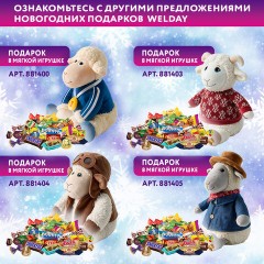 Подарок новогодний "КОЗОЧКА", РЮКЗАК "Мягкая игрушка-символ 2027 года", НАБОР конфет 800 г, WELDAY (ВЭЛДЭЙ), 881402 - фото 10