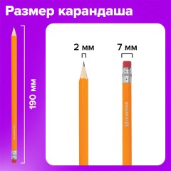 Карандаши чернографитные простые с ластиком HB, ВЫГОДНАЯ УПАКОВКА КОМПЛЕКТ 12 штук, BRAUBERG, 180635 - фото 12