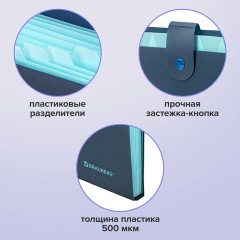 Папка-органайзер на кнопке 12 отделений, BRAUBERG "Extra", А4, синяя с голубым, 271933 Папка-органайзер на кнопке 12 отделений, BRAUBERG "Extra", А4, синяя с голубым, 271933 - фото 12