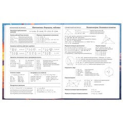 Дневник 5-11 класс 48 л., твердый, BRAUBERG, глянцевая ламинация, с подсказом, "Футбол", 107613 - фото 10