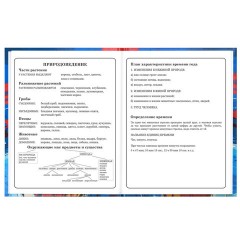 Дневник 1-4 класс 48 л., твердый, BRAUBERG, глянцевая ламинация, с подсказом, "Футбол", 107585 - фото 16