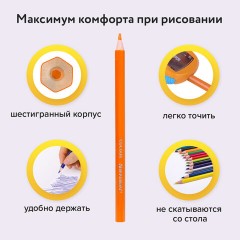 Карандаши цветные BRAUBERG PREMIUM, 36 цветов, шестигранные, грифель 3 мм, 181669 Карандаши цветные BRAUBERG PREMIUM, 36 цветов, шестигранные, грифель 3 мм, 181669 - фото 8