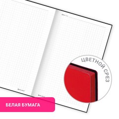 Блокнот А5 138x213 мм, BRAUBERG "Personal", под кожу, 80 листов, клетка, красный, 116609 Блокнот А5 138x213 мм, BRAUBERG "Personal", под кожу, 80 листов, клетка, красный, 116609 - фото 10