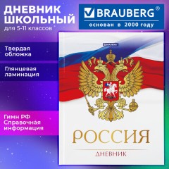 Дневник 5-11 класс 48 л., твердый, BRAUBERG, глянцевая ламинация, с подсказом, "Символика 2", 106067 - фото 19