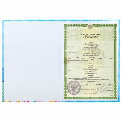 Папка адресная ламинированная "СВИДЕТЕЛЬСТВО О РОЖДЕНИИ", А4, для мальчика, STAFF "Profit", 129588 - фото 4