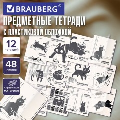 Тетради предметные, КОМПЛЕКТ 12 ПРЕДМЕТОВ 48 л., пластиковая обложка, BRAUBERG "КОТ-НЕПОСЕДА", 405542 - фото 18
