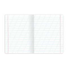 Тетрадь 12 л. BRAUBERG косая линия, обложка картон, CLASSIC, 107291 Тетрадь 12 л. BRAUBERG косая линия, обложка картон, CLASSIC, 107291 - фото 2