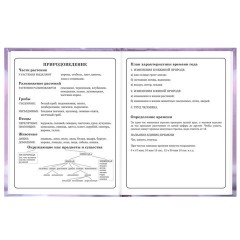 Дневник 1-4 класс 48 л., твердый, BRAUBERG, глянцевая ламинация, с подсказом, "Единорог", 107588 - фото 16