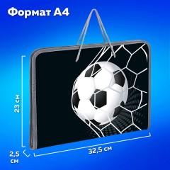 Папка для труда на молнии с ручками ПИФАГОР А4, 1 отделение, пластик, органайзер, "Ball kick", 272229 Папка для труда на молнии с ручками ПИФАГОР А4, 1 отделение, пластик, органайзер, "Ball kick", 272229 - фото 12