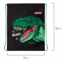 Мешок для обуви ПИФАГОР, 1 отделение, 42х34 см, "Dino roar", 272387 Мешок для обуви ПИФАГОР, 1 отделение, 42х34 см, "Dino roar", 272387 - фото 5