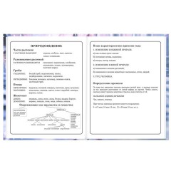 Дневник 1-4 класс 48 л., твердый, BRAUBERG, глянцевая ламинация, с подсказом, "Winter Cat", 107589 - фото 16