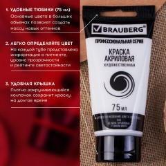 Краски акриловые художественные BRAUBERG ART CLASSIC, НАБОР 6 цветов по 75 мл, в тубах, 191121 Краски акриловые художественные BRAUBERG ART CLASSIC, НАБОР 6 цветов по 75 мл, в тубах, 191121 - фото 12
