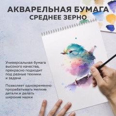 Бумага для акварели БОЛЬШАЯ А3 в коробке, 40 листов, 200 г/м2, среднее зерно, BRAUBERG ART CLASSIC, 116356 - фото 8