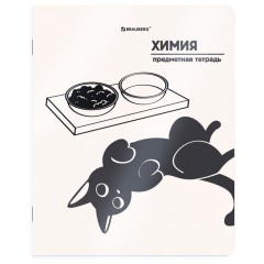 Тетради предметные, КОМПЛЕКТ 12 ПРЕДМЕТОВ 48 л., пластиковая обложка, BRAUBERG "КОТ-НЕПОСЕДА", 405542 - фото 13