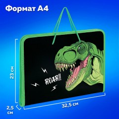 Папка для труда на молнии с ручками ПИФАГОР А4, 1 отделение, пластик, органайзер, "Dino roar", 272230 Папка для труда на молнии с ручками ПИФАГОР А4, 1 отделение, пластик, органайзер, "Dino roar", 272230 - фото 12