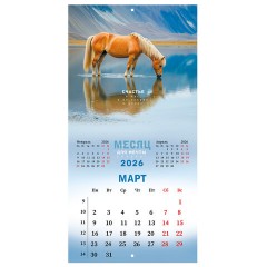 Календарь настенный перекидной 2026 г., BRAUBERG, 12 листов, 28,5х28,5 см, "Благородные лошади", 116932 - фото 6