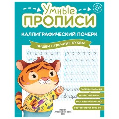 Прописи "Умные прописи КАЛЛИГРАФИЧЕСКИЙ ПОЧЕРК", 6+, КОМПЛЕКТ 3 шт., 48 стр., 165x215 мм, ПРОСВЕЩЕНИЕ, 0413-01, 90-0413-01 - фото 6