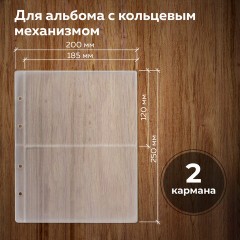 Листы-вкладыши для альбома "OPTIMA" на 2 боны (купюры), КОМПЛЕКТ 10 шт., 200х250 мм, ПВХ, STAFF, 238081 Листы-вкладыши для альбома "OPTIMA" на 2 боны (купюры), КОМПЛЕКТ 10 шт., 200х250 мм, ПВХ, STAFF, 238081 - фото 6