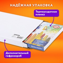 Пастель масляная восковые мелки утолщенные 48 цвета с точилкой, держателем и стеком, BRAUBERG PREMIUM, 272714 Пастель масляная восковые мелки утолщенные 48 цвета с точилкой, держателем и стеком, BRAUBERG PREMIUM, 272714 - фото 21