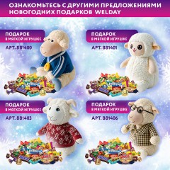 Подарок новогодний "КОВБОЙ", "Мягкая игрушка-символ 2027 года", НАБОР конфет 800 г, WELDAY (ВЭЛДЭЙ), 881405 - фото 10