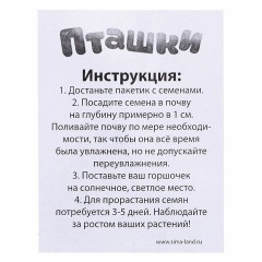 Набор для опытов "Пташки, выращиваем травку", фиолетовый горшочек, 5155390 Набор для опытов "Пташки, выращиваем травку", фиолетовый горшочек, 5155390 - фото 5