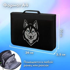 Папка на молнии BRAUBERG А4 с ручкой, с органайзером, 1 отделение, "Husky", 271450 Папка на молнии BRAUBERG А4 с ручкой, с органайзером, 1 отделение, "Husky", 271450 - фото 10