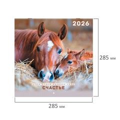Календарь настенный перекидной 2026 г., BRAUBERG, 12 листов, 28,5х28,5 см, "Благородные лошади", 116932 - фото 2