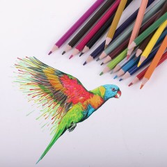 Карандаши цветные ЮНЛАНДИЯ "ДОМИКИ", 18 цветов, шестигранные, грифель 3 мм, 181837 - фото 6