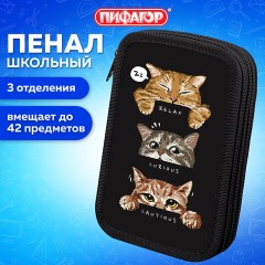 Пенал ПИФАГОР, 3 отделения, ламинированный картон, 19х11 см, "Cool trio", 273486 Пенал ПИФАГОР, 3 отделения, ламинированный картон, 19х11 см, "Cool trio", 273486 - фото 8