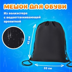 Папка на молнии с ручками А4, мешок для обуви 42х33 см, пенал 20х10 см, черный, НАБОР BRAUBERG, 273288 - фото 9