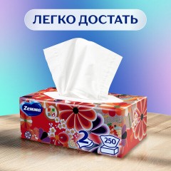 Салфетки косметические 2-слойные в картонном коробе, 250 штук, ZEMMA/ZEWA Everyday, 86791 - фото 24