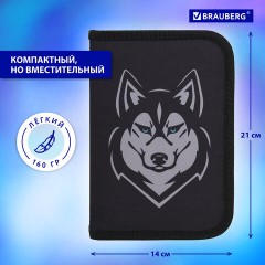 Пенал BRAUBERG, 1 отделение, полиэстер, 21х14 см, "Husky", 271532 Пенал BRAUBERG, 1 отделение, полиэстер, 21х14 см, "Husky", 271532 - фото 12