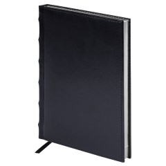Ручка шариковая PARKER "Jotter Core Stainless Steel CT", ежедневник А5 черный, пакет, 880891 - фото 5