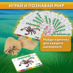 Набор для раскопок "Насекомые", 12 видов, карточки, инструменты, BRAUBERG KIDS, 665127 Набор для раскопок "Насекомые", 12 видов, карточки, инструменты, BRAUBERG KIDS, 665127 - фото 16