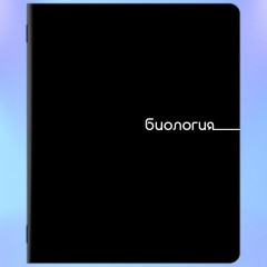 Тетради предметные, КОМПЛЕКТ 12 ПРЕДМЕТОВ, 48 л., обложка картон, BRAUBERG "BLACK", 405164 - фото 8