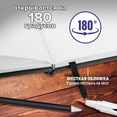 Скетчбук для графики и маркеров, "БРИСТОЛЬ" 200 г/м2, 140х210 мм, 32 листа, КОЖЗАМ, BRAUBERG ART PREMIERE, Черный, 115099 Скетчбук для графики и маркеров, "БРИСТОЛЬ" 200 г/м2, 140х210 мм, 32 листа, КОЖЗАМ, BRAUBERG ART PREMIERE, Черный, 115099 - фото 10