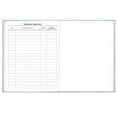 Дневник 5-11 класс 48 л., твердый, BRAUBERG, глянцевая ламинация, с подсказом, "Пушистый мечтатель", 107609 - фото 16