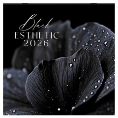 Календарь настенный перекидной 2026 г., BRAUBERG, 12 листов, 28,5х28,5 см, "Black esthetic", 116927