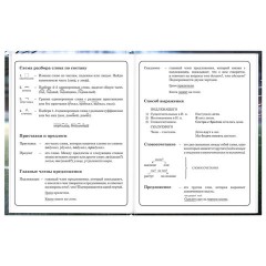 Дневник 1-4 класс 48 л., твердый, ЮНЛАНДИЯ, глянцевая ламинация, с подсказом, "Футбол", 107583 - фото 11