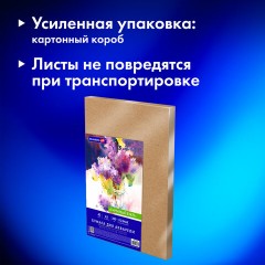 Бумага для акварели А3 40 л., 200 г/м2 ГОЗНАК СПб, в коробке, BRAUBERG ART CLASSIC, "СИРЕНЕВЫЙ БУКЕТ", 116886 Бумага для акварели А3 40 л., 200 г/м2 ГОЗНАК СПб, в коробке, BRAUBERG ART CLASSIC, "СИРЕНЕВЫЙ БУКЕТ", 116886 - фото 9