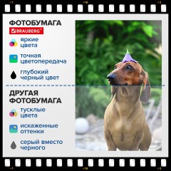 Фотобумага глянцевая, А4, 160 г/м2, односторонняя, 100 листов, ПАКЕТ, BRAUBERG ORIGINAL, 364415 - фото 6
