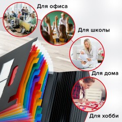 Папка-органайзер для бумаг и документов на резинке, 13 отделений, BRAUBERG DOCS, А4, черная, 271152 Папка-органайзер для бумаг и документов на резинке, 13 отделений, BRAUBERG DOCS, А4, черная, 271152 - фото 13